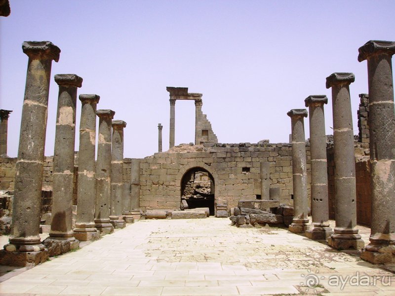 Ближний Восток. Фотоотчёты. Сирия