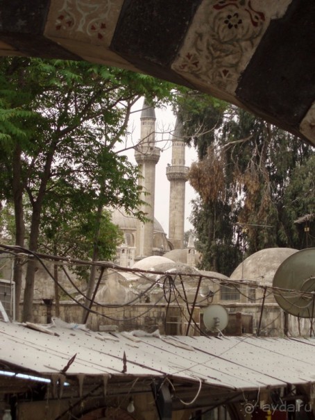 Ближний Восток. Фотоотчёты. Сирия