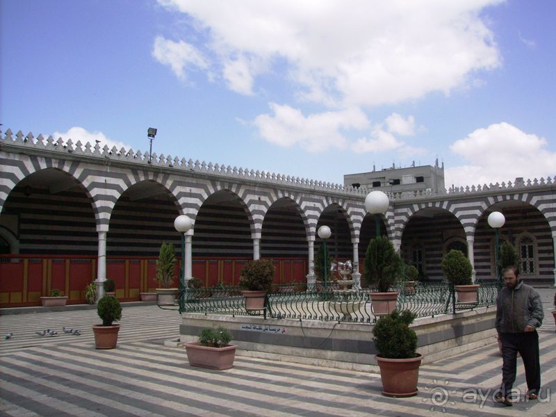 Ближний Восток. Фотоотчёты. Сирия