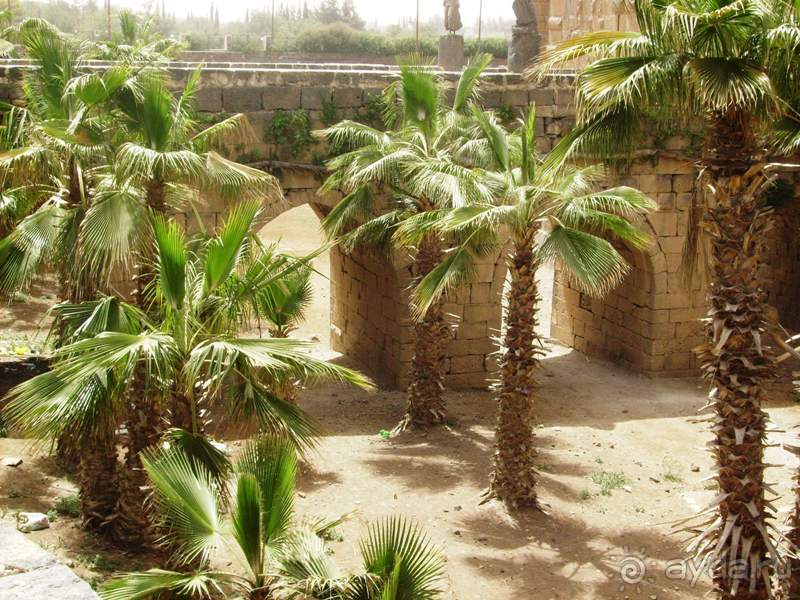 Ближний Восток. Фотоотчёты. Сирия