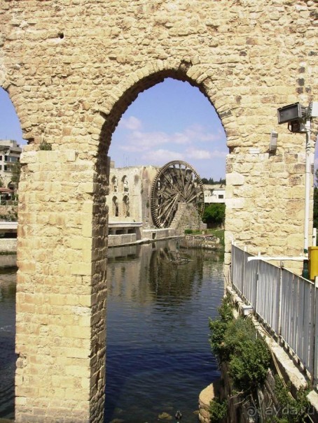 Ближний Восток. Фотоотчёты. Сирия