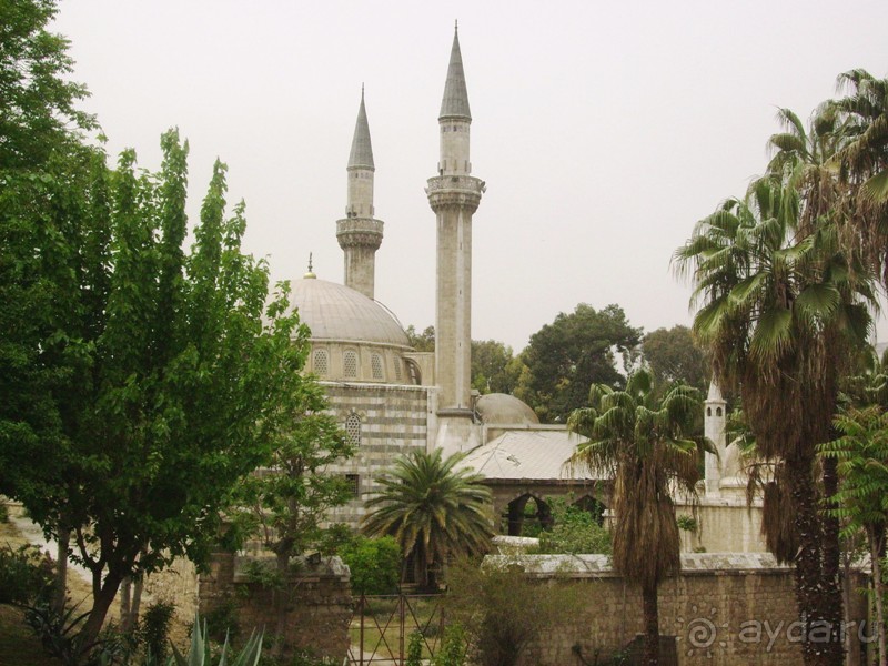 Ближний Восток. Фотоотчёты. Сирия