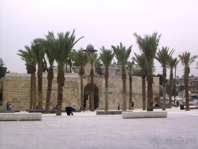 Ближний Восток. Фотоотчёты. Сирия