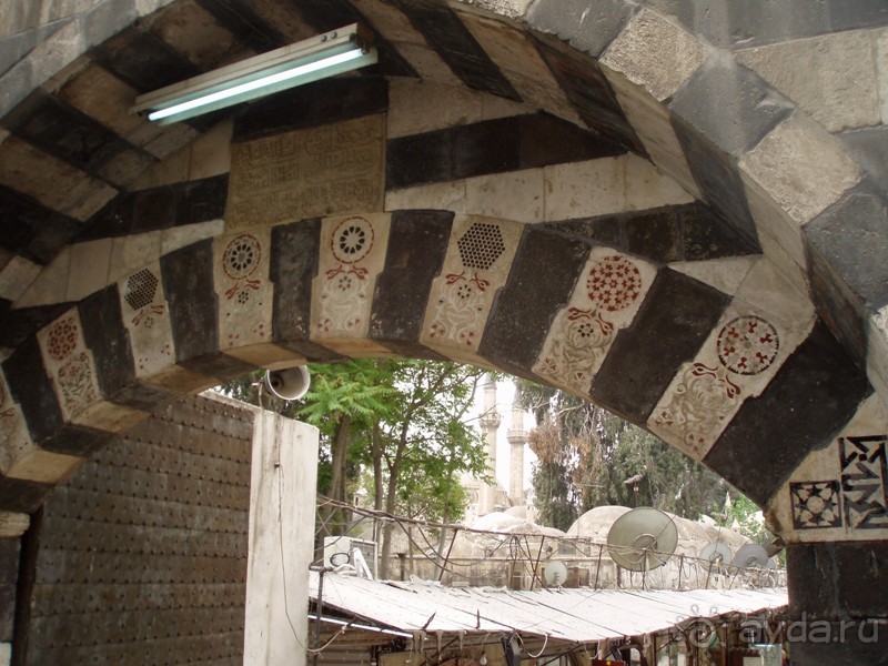 Ближний Восток. Фотоотчёты. Сирия