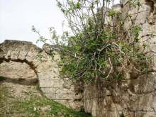 Ближний Восток. Фотоотчёты. Сирия