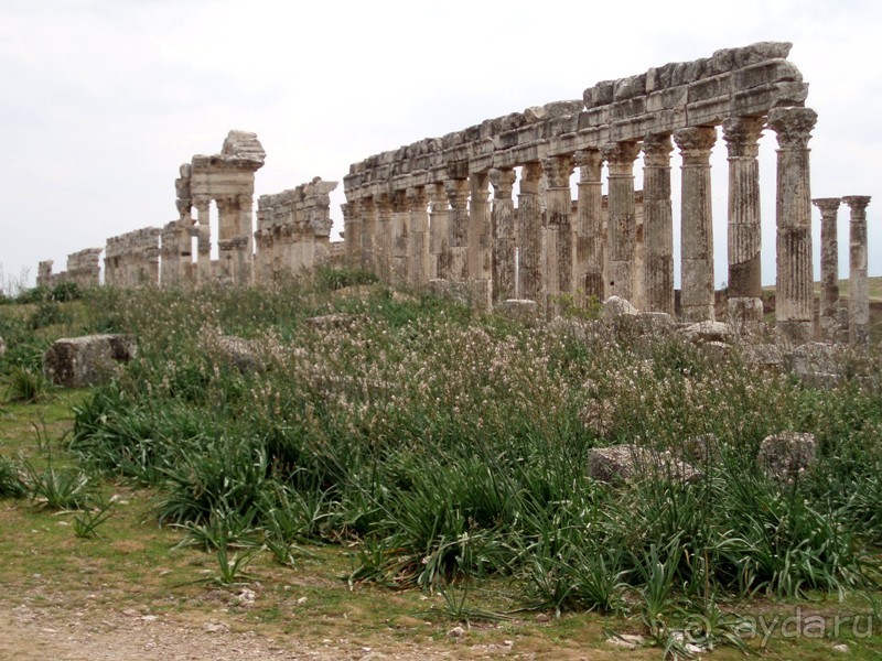 Ближний Восток. Фотоотчёты. Сирия