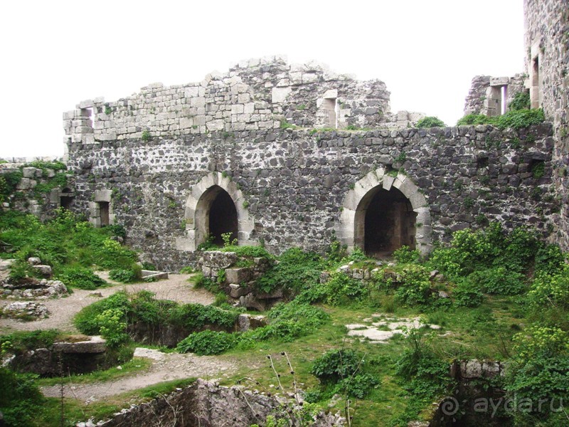 Ближний Восток. Фотоотчёты. Сирия