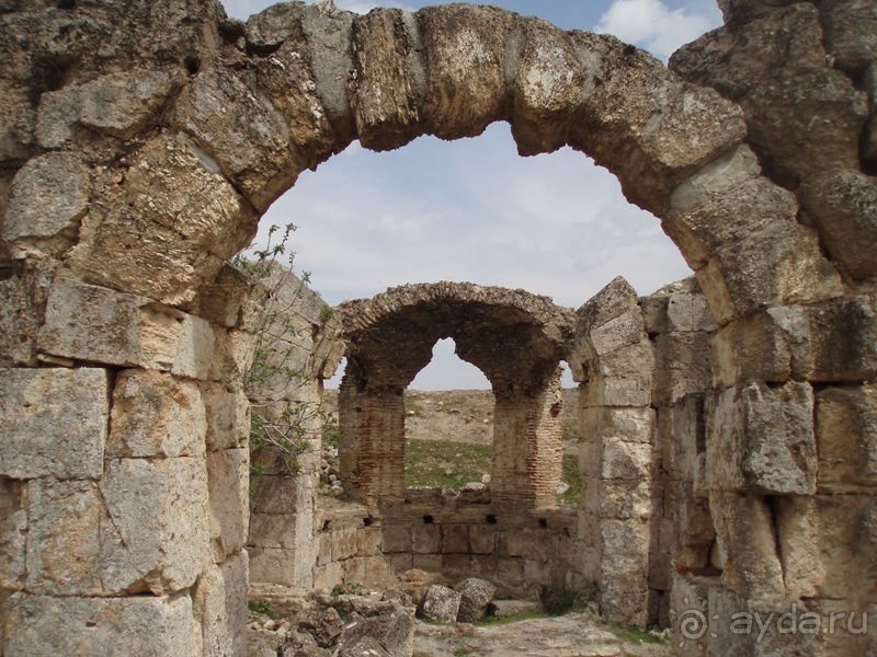 Ближний Восток. Фотоотчёты. Сирия