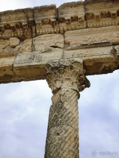 Ближний Восток. Фотоотчёты. Сирия