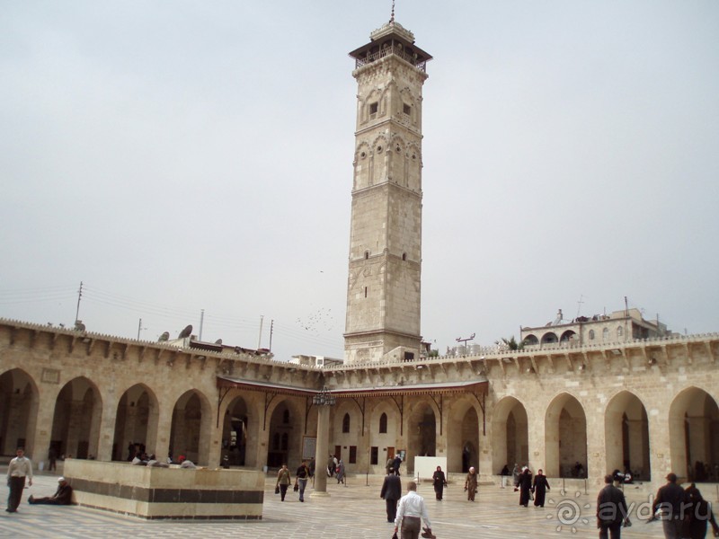 Ближний Восток. Фотоотчёты. Сирия