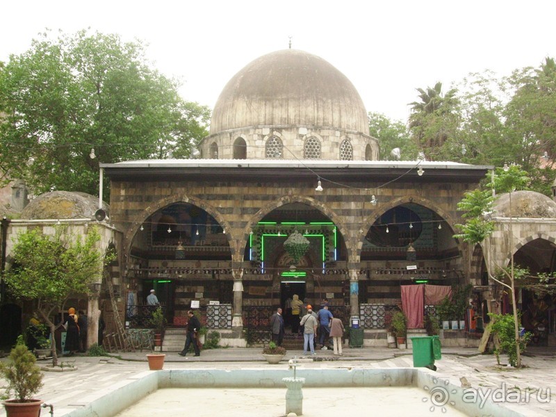 Ближний Восток. Фотоотчёты. Сирия