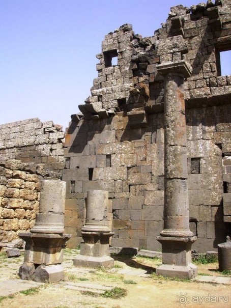 Ближний Восток. Фотоотчёты. Сирия