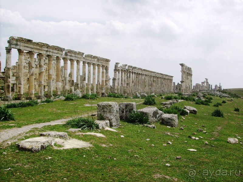 Ближний Восток. Фотоотчёты. Сирия