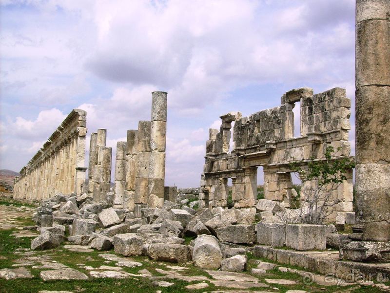 Ближний Восток. Фотоотчёты. Сирия