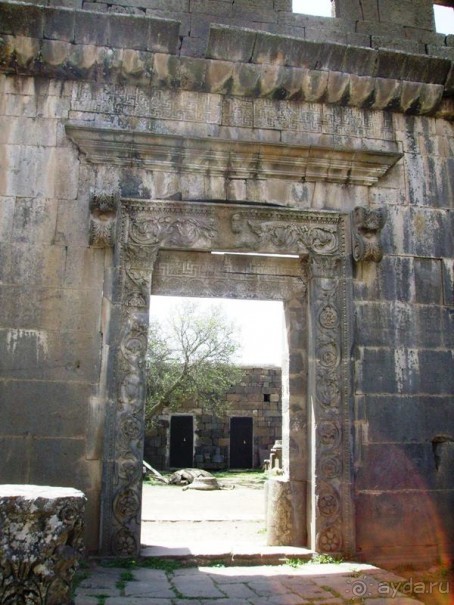 Ближний Восток. Фотоотчёты. Сирия