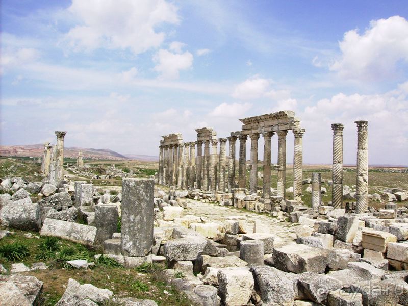 Ближний Восток. Фотоотчёты. Сирия