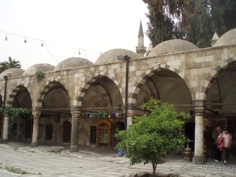 Ближний Восток. Фотоотчёты. Сирия