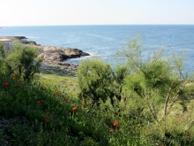 Апулия и Матера – впечатления без погружения. Монополи и Полиньяно-а-Маре