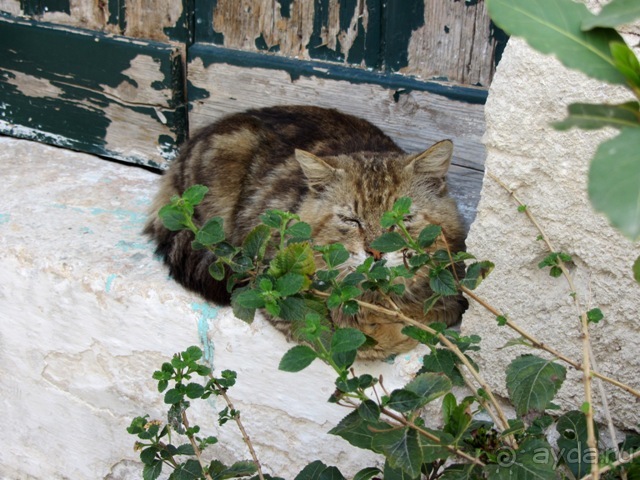 Апулия и Матера – впечатления без погружения. Монополи и Полиньяно-а-Маре