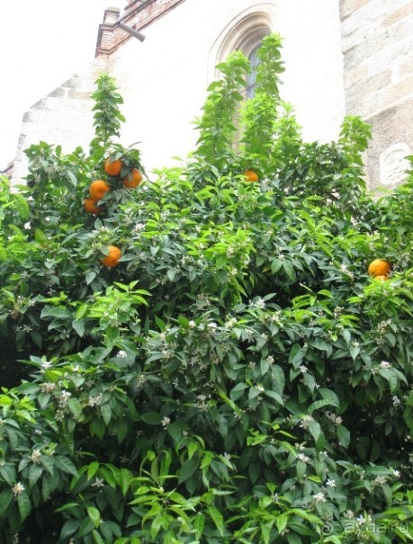 Аутентичная Испания-2: Эстремадура (Часть ІІІ)