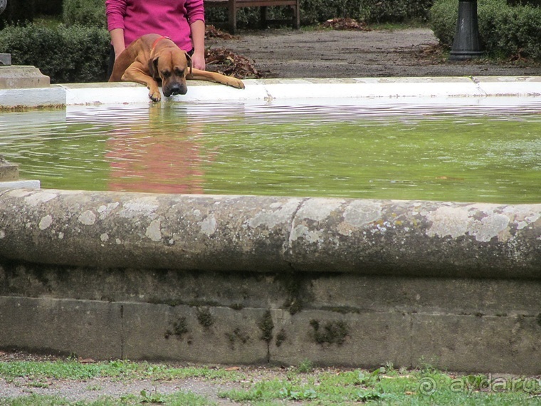 Риоха, Наварра и баски: от Мадрида до Сан-Себастьяна. Часть 8