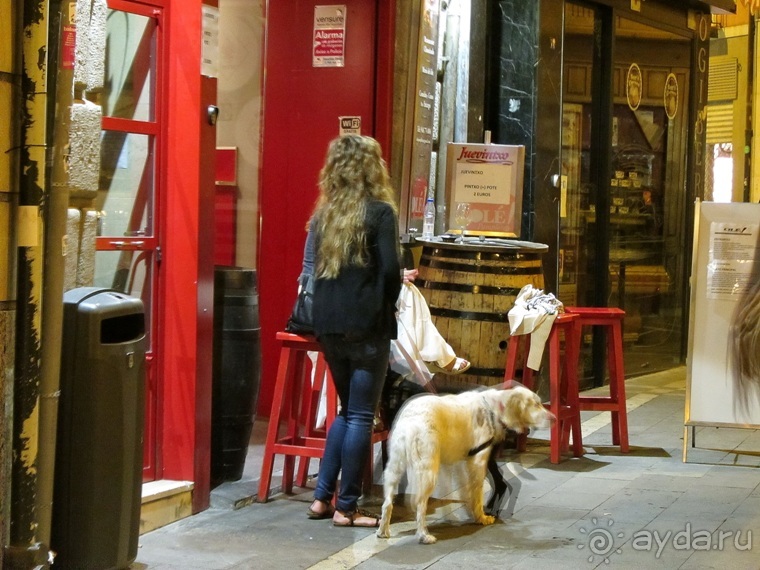 Риоха, Наварра и баски: от Мадрида до Сан-Себастьяна. Часть 8