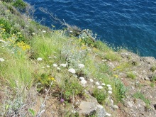 Лигурия западная и восточная. Генуя и окрестности. Часть 4