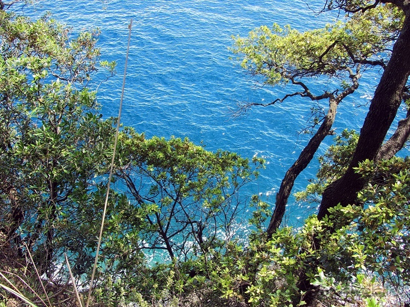 Лигурия западная и восточная. Генуя и окрестности. Часть 4