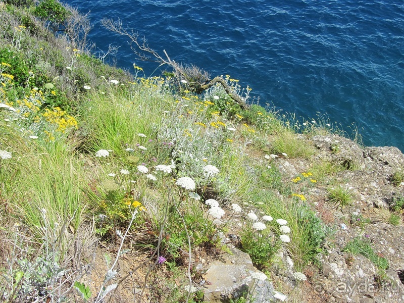 Лигурия западная и восточная. Генуя и окрестности. Часть 4