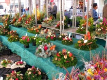 Под небом голубым...октябрьской Баварии (+ Страсбург). Часть 3