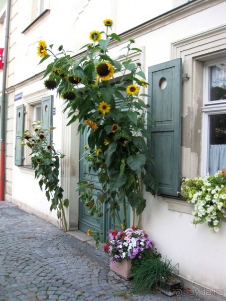 Под небом голубым...октябрьской Баварии (+ Страсбург). Часть 3