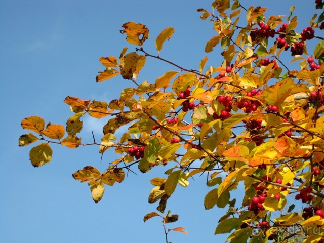 Под небом голубым...октябрьской Баварии (+ Страсбург). Часть 3