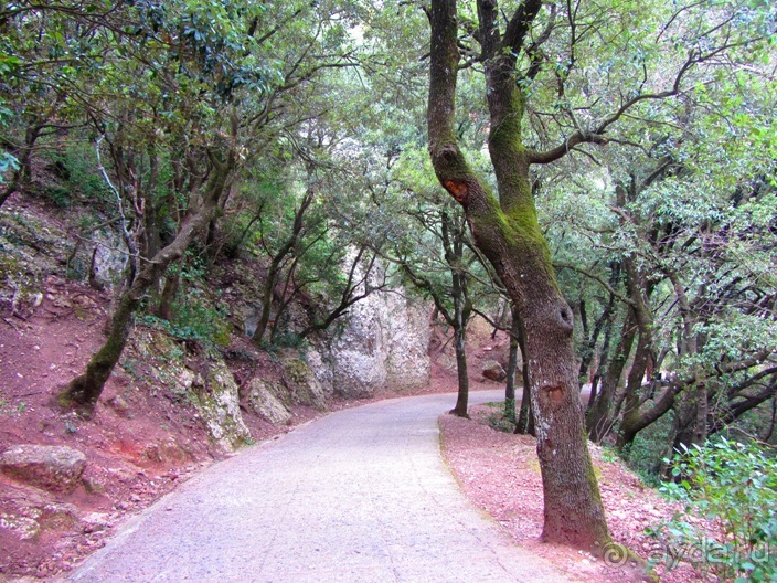 Вокруг Барселоны (Вик, Сан-Кугат-дель-Вальес, Вилафранка-дель-Пенедес, Жирона и др.) часть 3