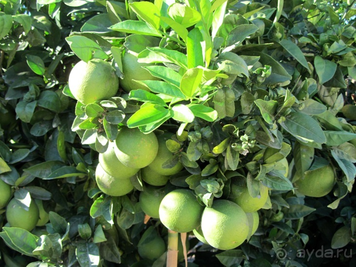 Валенсия и Коста-Бланка: пляжные бездельники в поисках аутентичной Испании