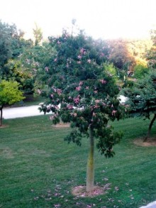 Валенсия и Коста-Бланка: пляжные бездельники в поисках аутентичной Испании
