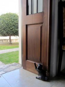 Валенсия и Коста-Бланка: пляжные бездельники в поисках аутентичной Испании