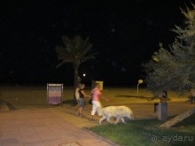 Валенсия и Коста-Бланка: пляжные бездельники в поисках аутентичной Испании