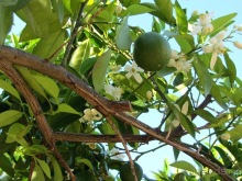 Валенсия и Коста-Бланка: пляжные бездельники в поисках аутентичной Испании