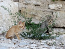 Валенсия и Коста-Бланка: пляжные бездельники в поисках аутентичной Испании