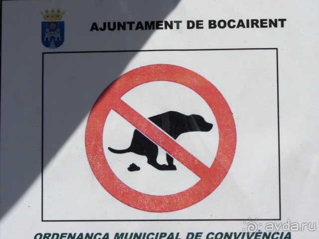 Валенсия и Коста-Бланка: пляжные бездельники в поисках аутентичной Испании