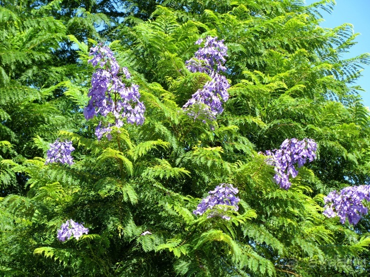 Валенсия и Коста-Бланка: пляжные бездельники в поисках аутентичной Испании