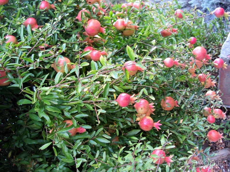 Валенсия и Коста-Бланка: пляжные бездельники в поисках аутентичной Испании