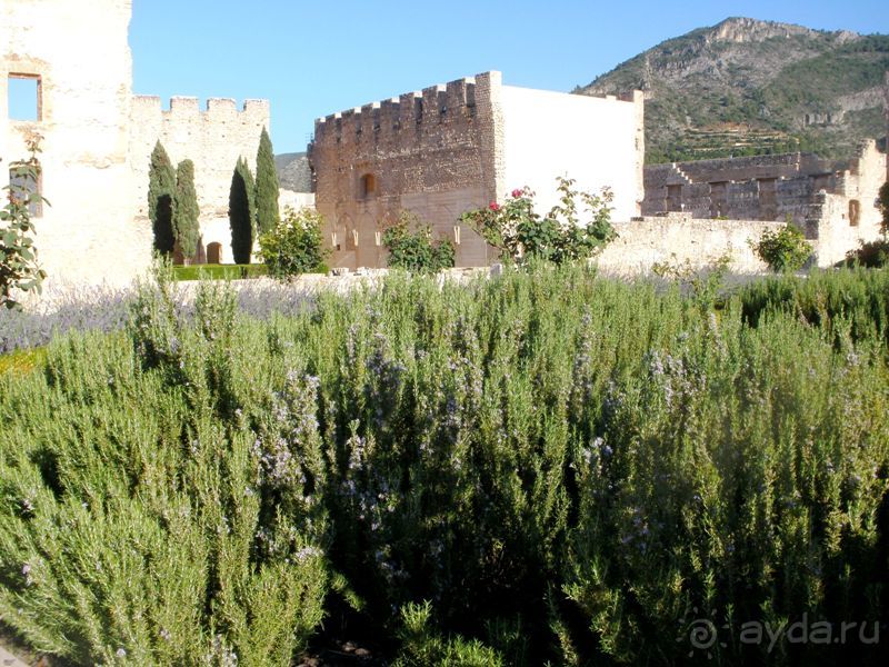 Валенсия и Коста-Бланка: пляжные бездельники в поисках аутентичной Испании