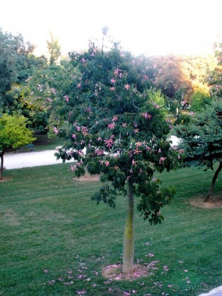 Валенсия и Коста-Бланка: пляжные бездельники в поисках аутентичной Испании
