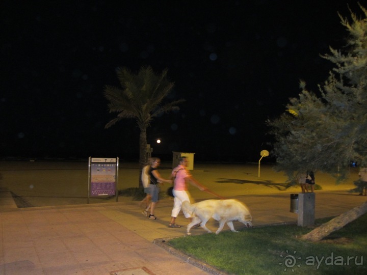 Валенсия и Коста-Бланка: пляжные бездельники в поисках аутентичной Испании