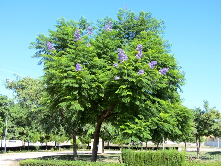 Валенсия и Коста-Бланка: пляжные бездельники в поисках аутентичной Испании