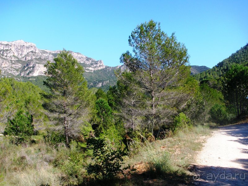 Валенсия и Коста-Бланка: пляжные бездельники в поисках аутентичной Испании