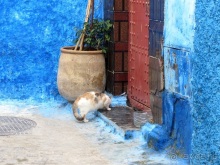 Возвращение на Восток: Марокко без мороки, или страна, которая не напрягает. Часть 2