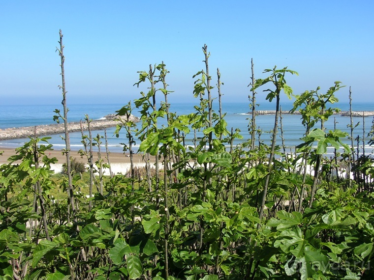 Возвращение на Восток: Марокко без мороки, или страна, которая не напрягает. Часть 2