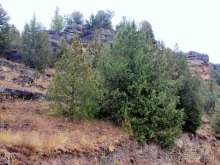 Как мы спасали ёжика и другие прогулки по Кастилии и вокруг Мадрида. Часть 17